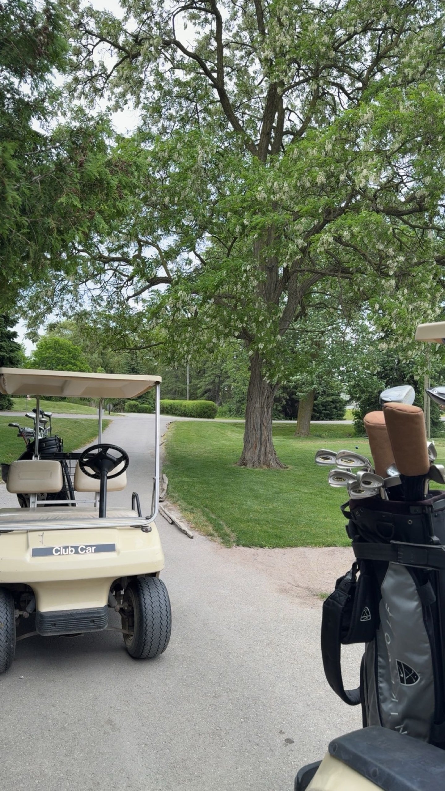 definitely did not double/triple bogey every hole here.